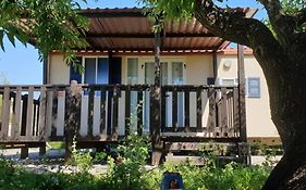 The Farm Tiny House - Tiny Casa